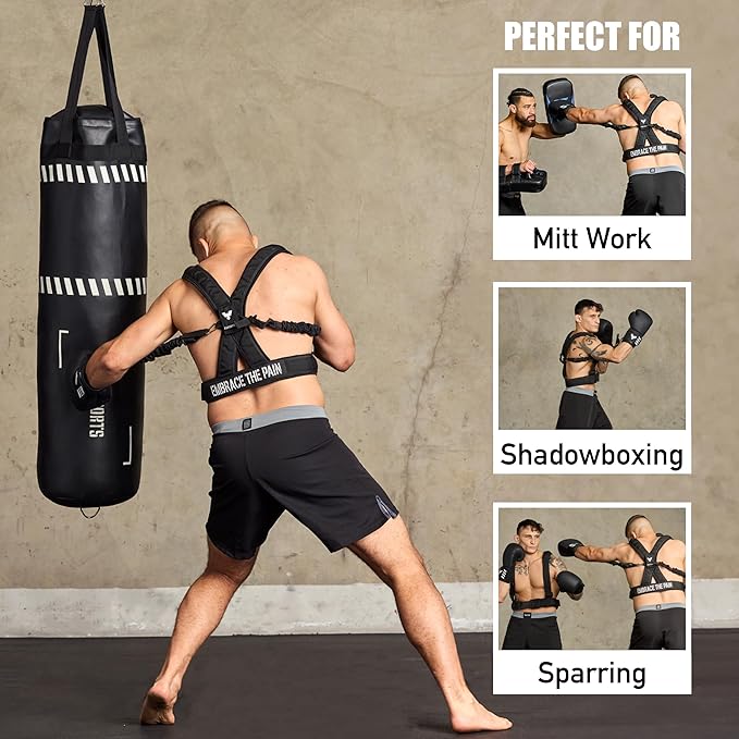 Elite Harness And Training Gloves