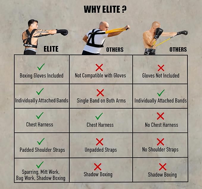 Elite Harness And Training Gloves