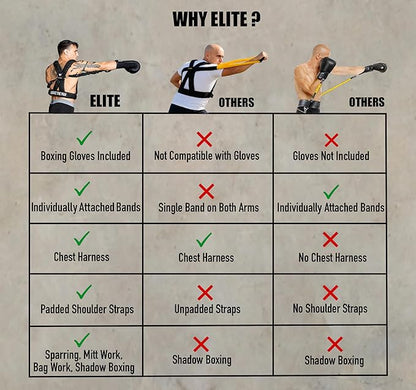 Elite Harness And Training Gloves